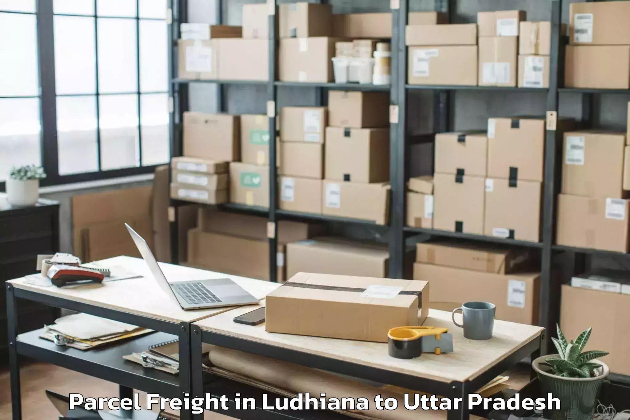 Top Ludhiana to Barkhera Kalan Parcel Freight Available